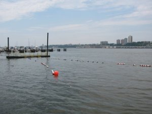 Sure, it doesn't look intimidating here... (Photo credit: The Boyfriend)